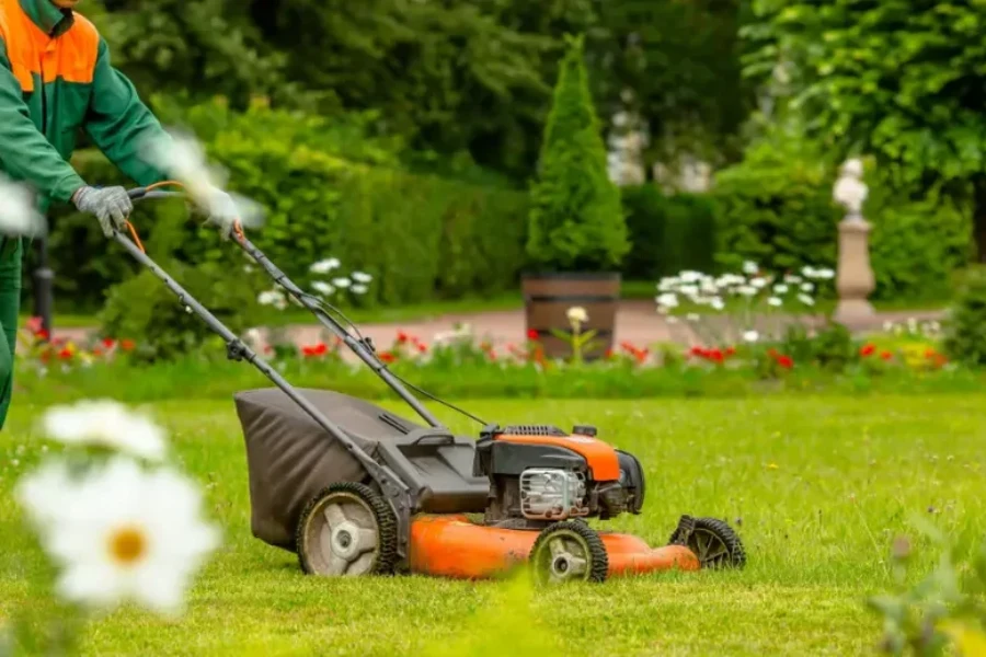 Affordable Lawn Maintenance Lakeport, CA Affordable Lawn Maintenance Lakeport, CA