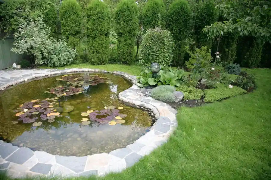 Excellent Backyard Landscaping Lakeport, CA Excellent Backyard Landscaping Lakeport, CA