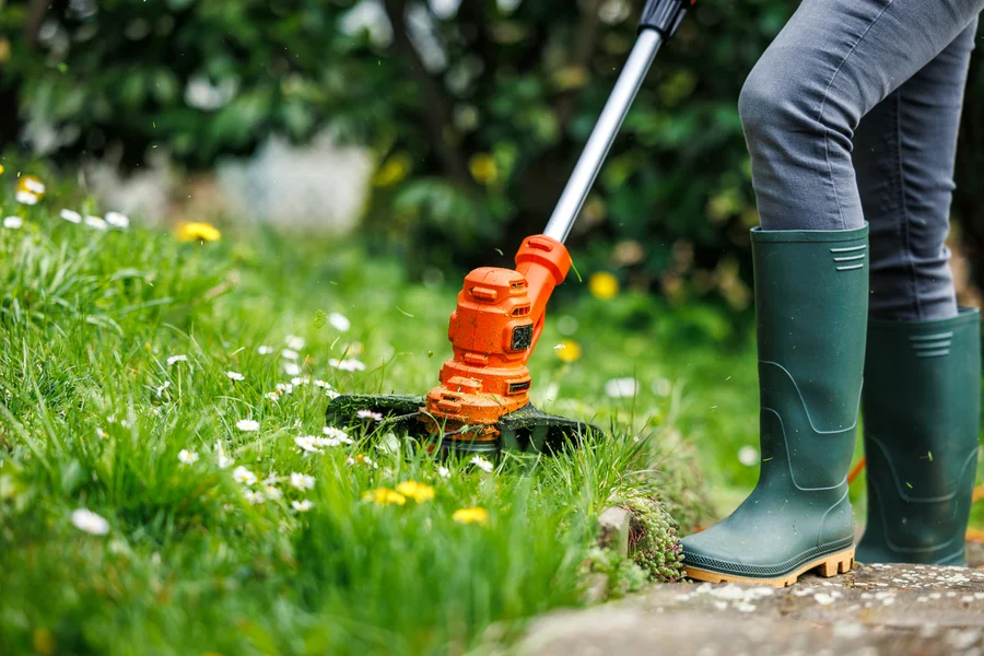 Experienced Lawn Care Lakeport, CA Experienced Lawn Care Lakeport, CA