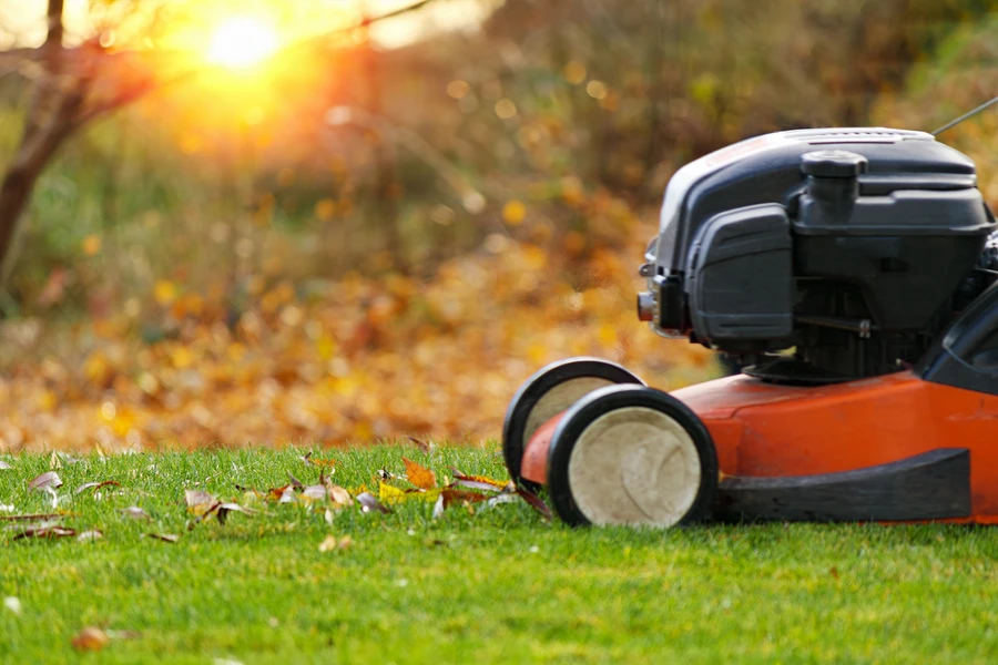 How To Fix Common Lawn Problems Quickly in Lakeport, CA How To Fix Common Lawn Problems Quickly in Lakeport, CA