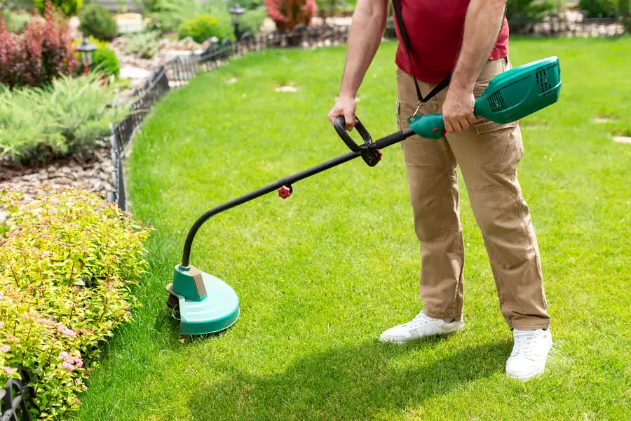 Local Lawn Care Lakeport, CA Local Lawn Care Lakeport, CA