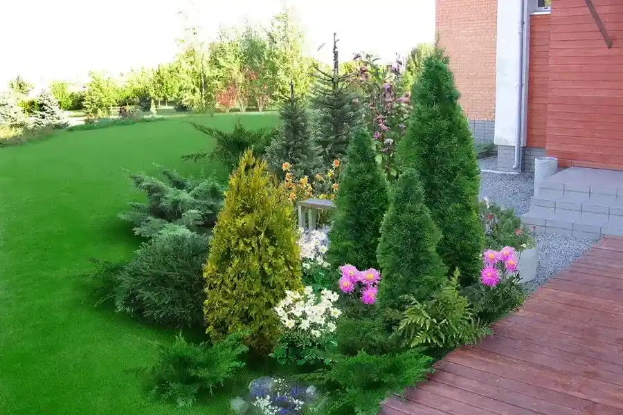 Quality Backyard Landscaping Lakeport, CA Quality Backyard Landscaping Lakeport, CA