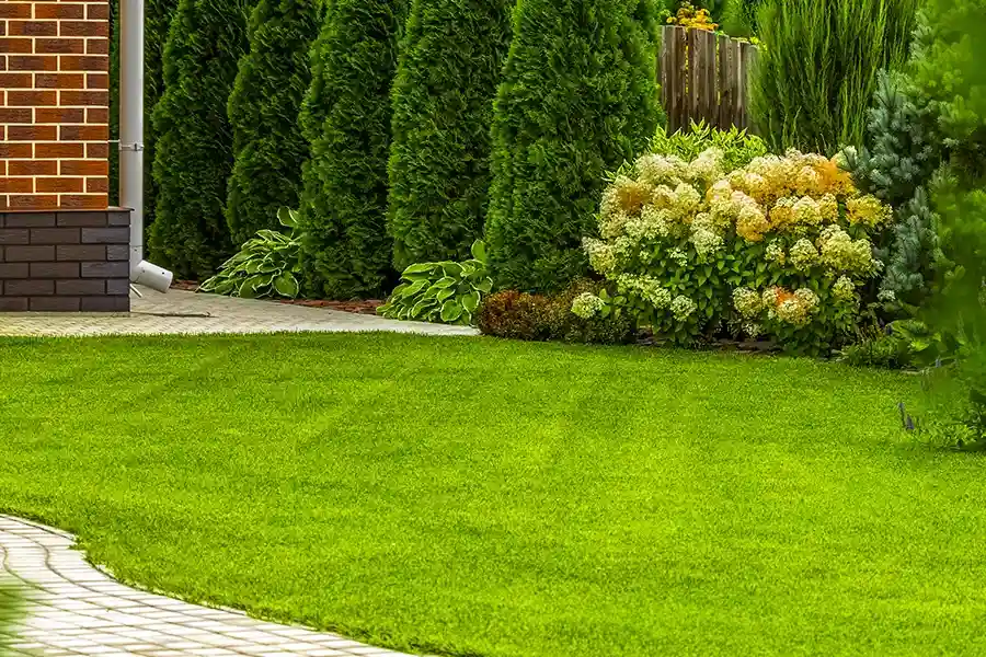 Reputable Lawn Care Lakeport, CA Reputable Lawn Care Lakeport, CA